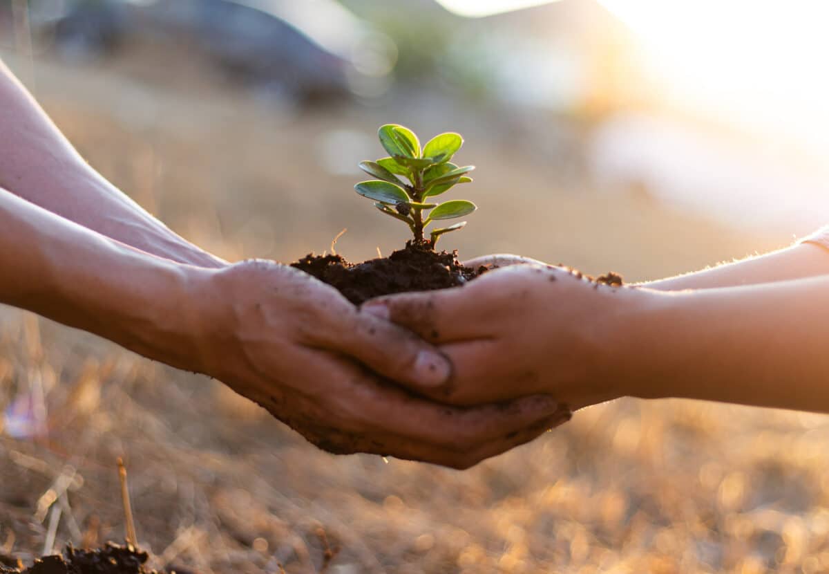 REC Solar Panels,lead-free solar panels,REC Group